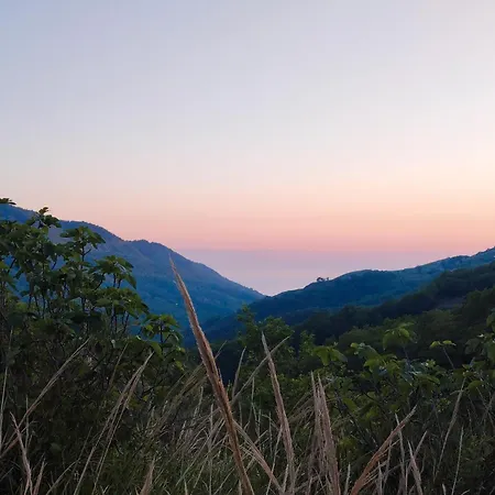 Lumira Vista - Alto *