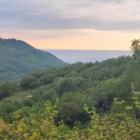 Lumira Vista - Alto *